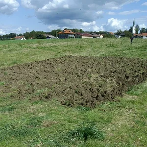Schorsch