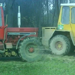Der Rote und der Gelbe