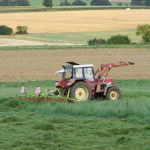 Harfensnger