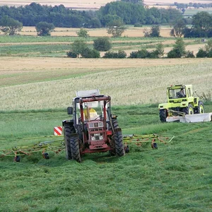 Harfensnger