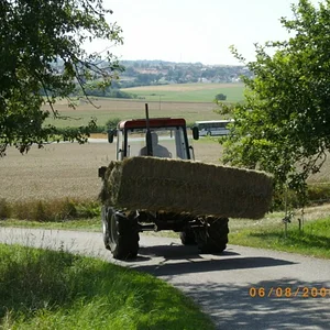 gka