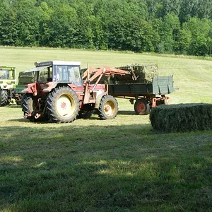 Harfensenger