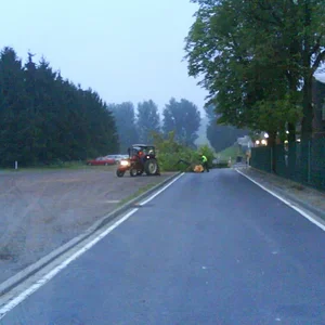 Gefahrenfällung