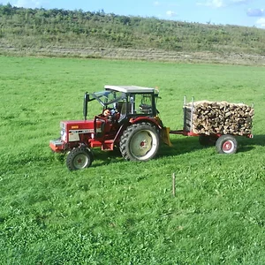 Mal wieder Holz geschnitten