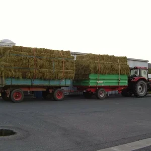 Heutransport mit 856xl