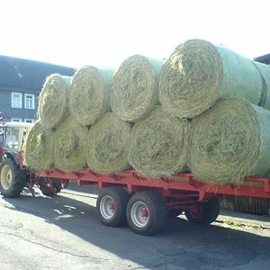 633 ballenfahren