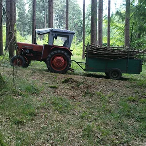 D 320