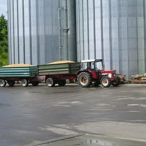 IHC 844 AS