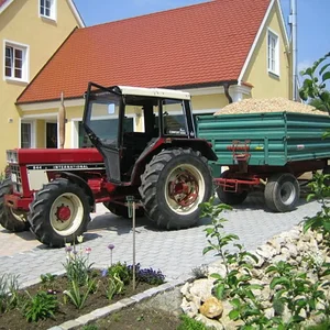 IHC 844 AS