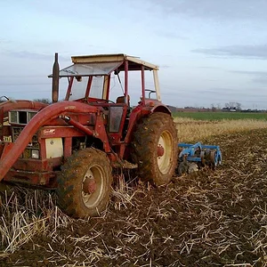 Bohnenland vorbereiten