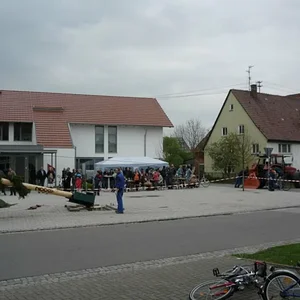Maibaum stellen