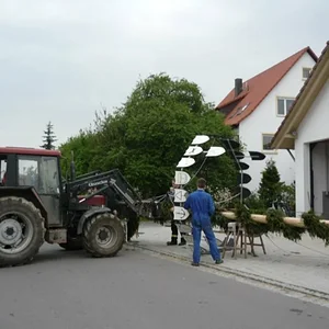 Maibaum stellen