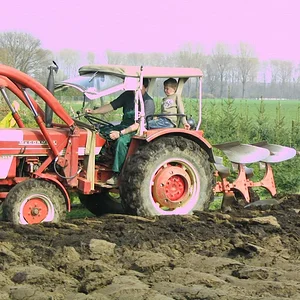 Tim Bollwerk
