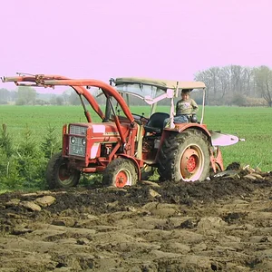 Tim Bollwerk
