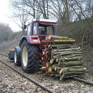 Holzeinschlag