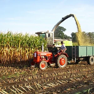 D324