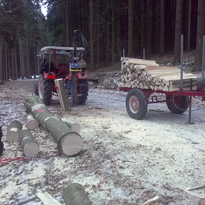 Ein wenig Holz gemacht