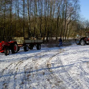 320 und Compact 850 im Wald