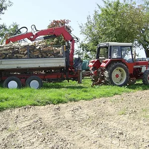 Breitenbrunner_odw