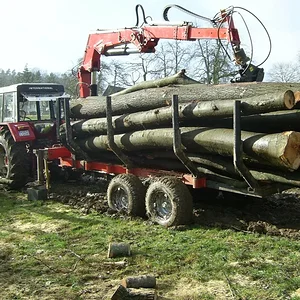 Breitenbrunner_odw