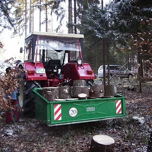 Im Wald