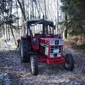 Im Wald