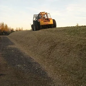 rolloderwikinger