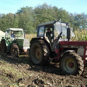 rolloderwikinger