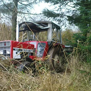 rolloderwikinger