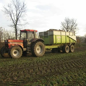 Torben