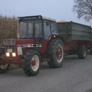 Mais Dreschen 2008