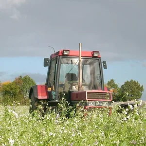 956 XLA
