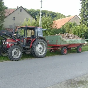 ihc 955