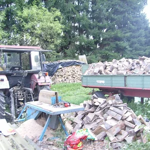 ihc 955