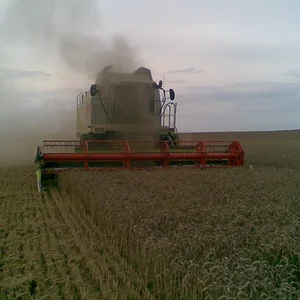 ih farmer