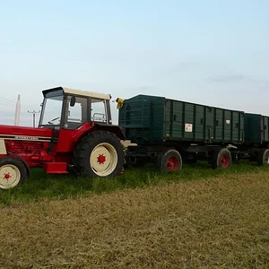 IHC946