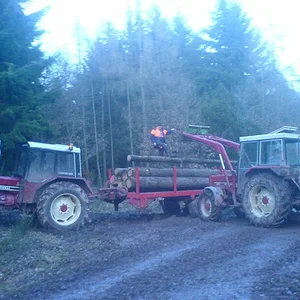 Patser am Holzfahren