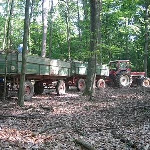 ED16II