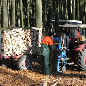 Forstarbeiten