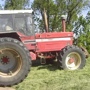 bekannter sein 1455