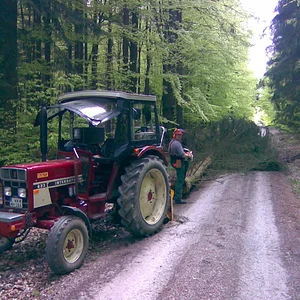 Heute beim Holzmachen