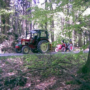 Heute beim Holzmachen