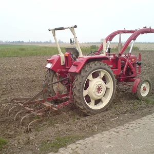 SebastianD439