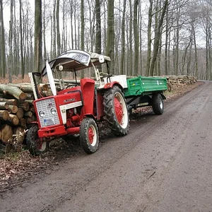 Holz machen
