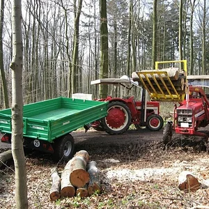 Holz machen