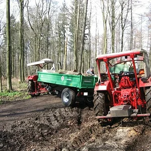 Holz machen