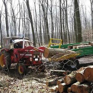Holz machen