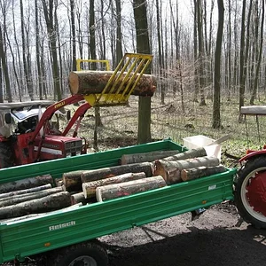 Holz machen