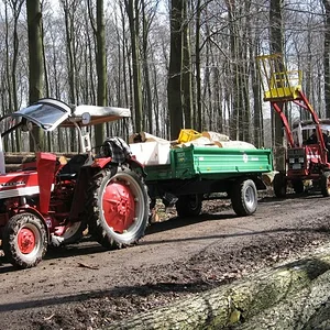 Holz machen