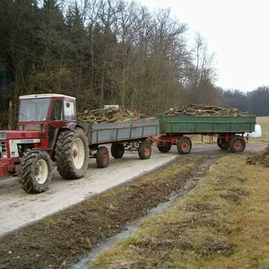EULE